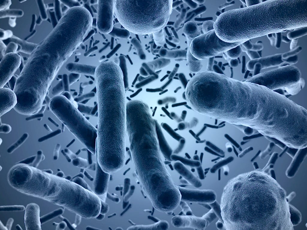 a close up, computer generated image of numerous blue rod shaped bacteria floating against a gradient background.