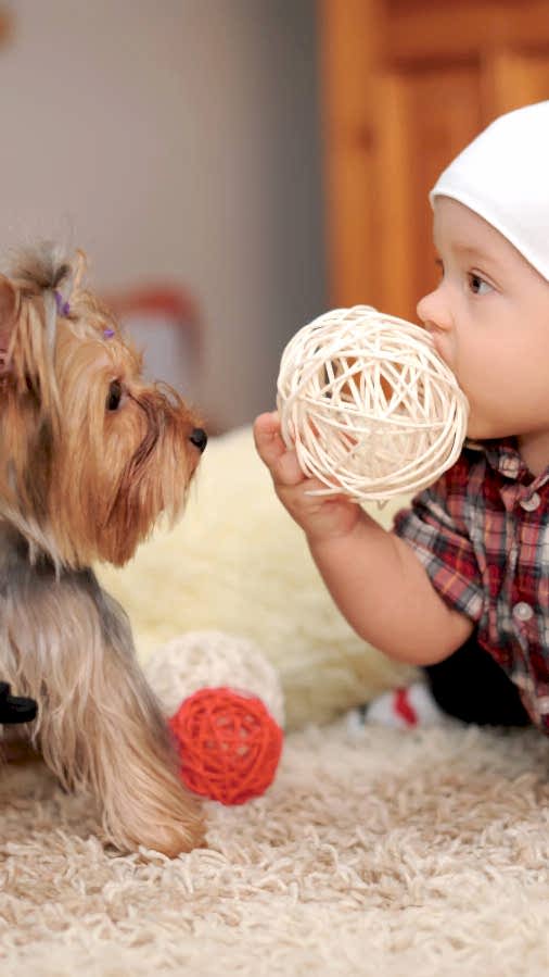 kid and dog